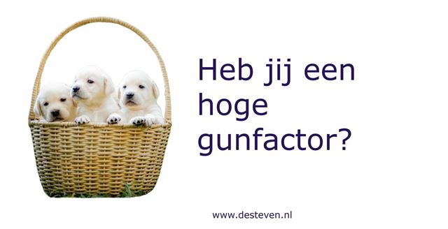 Heb jij een hoge gunfactor?