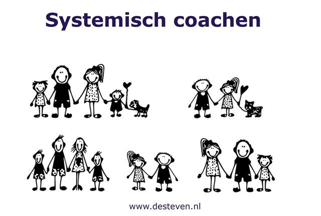 Systemisch coachen