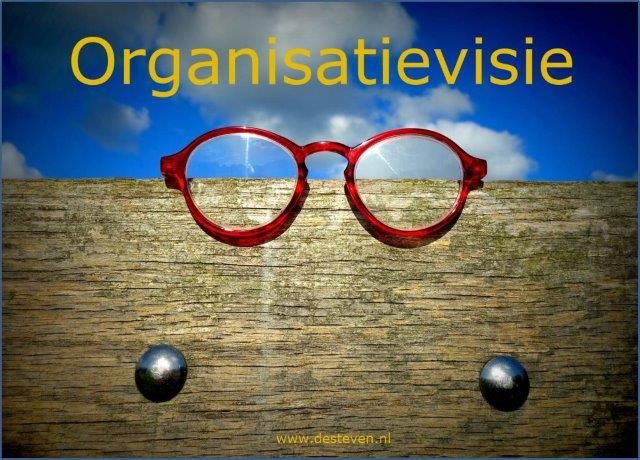 Organisatievisie ontwikkelen